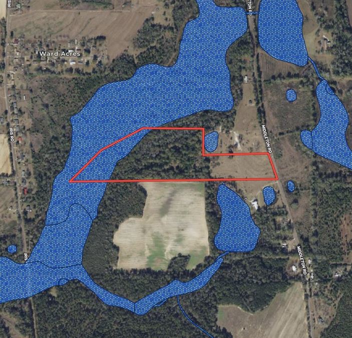 28+/- Recreation/Residential Land in Houston County, AL