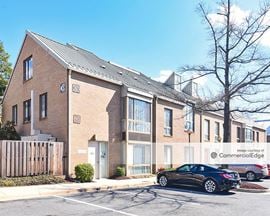 The Executive