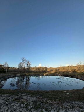 820± Acre Hunting & Recreational Property in Perry FL
