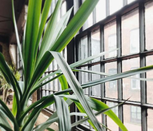 415 Howe Avenue LLC - 415 Howe Ave