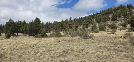 VacantLand space for Sale at 62430 US Highway 285 in Bailey