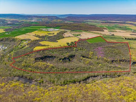 VacantLand space for Sale at Fox Run Road in Williamsburg