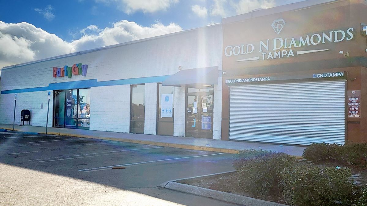 10,292 sf available on Fowler in Tampa