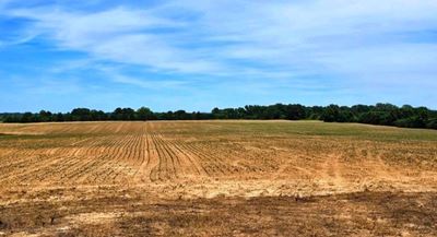 64.2 AC - Shands Bottom Road, Senatobia, MS 