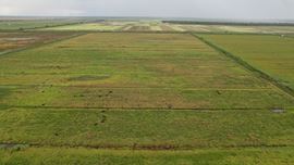 Denco Ranch