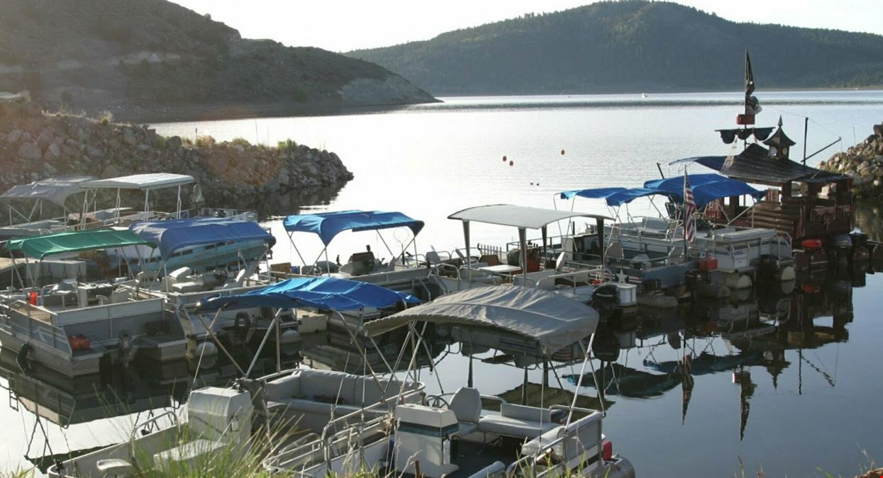 Pontoon Boat Rental Business and Land and Dock House