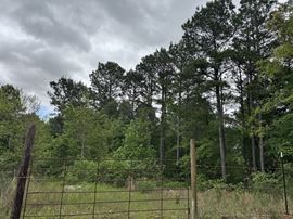 Mira Levee and Hwy 71 Land (98.37 acres)