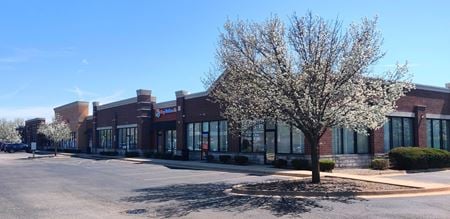 Retail space for Rent at 100-196 West Illinois Highway in New Lenox