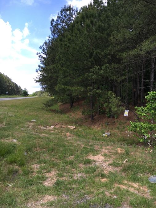 26.33 +/- acres South Fulton Pkwy & Derrick Rd