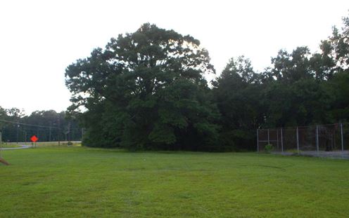 Multi-Family Zoned Land