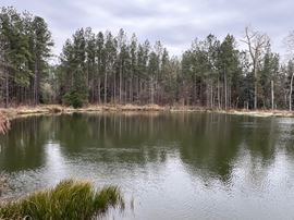 89 Acres in Early County, GA : Riverfront Property with Cabin and Outstanding Hunting Land