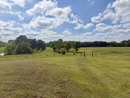VacantLand space for Sale at 10954 McKenzie Grade Road in Georgiana