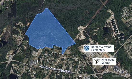 ±107 acres between Fish Hatchery Road and Edmund Highway | West Columbia, SC