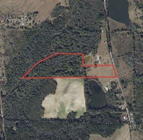 28+/- Recreation/Residential Land in Houston County, AL