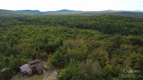 770± Acres of Undeveloped Forest