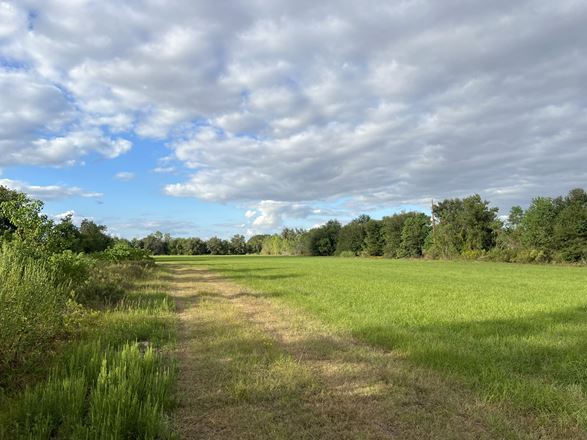 28144-28150 Morton Rd, Katy TX: Unrestricted Land