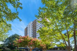 Port Royal Condominium