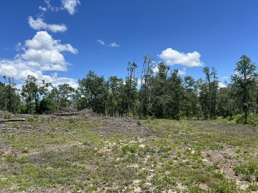 Citrus County 189 Acres