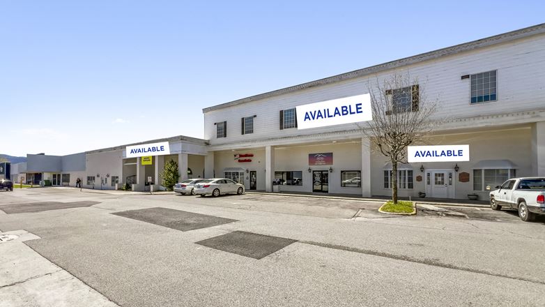 Wise County Plaza