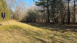 ±105-Acre Recreational Tract with Practical Homestead Sites