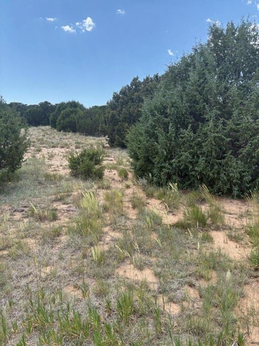 8 Arroyo de Tajique Rd