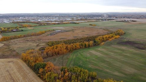 Schickedanz West - 193.21 Acres