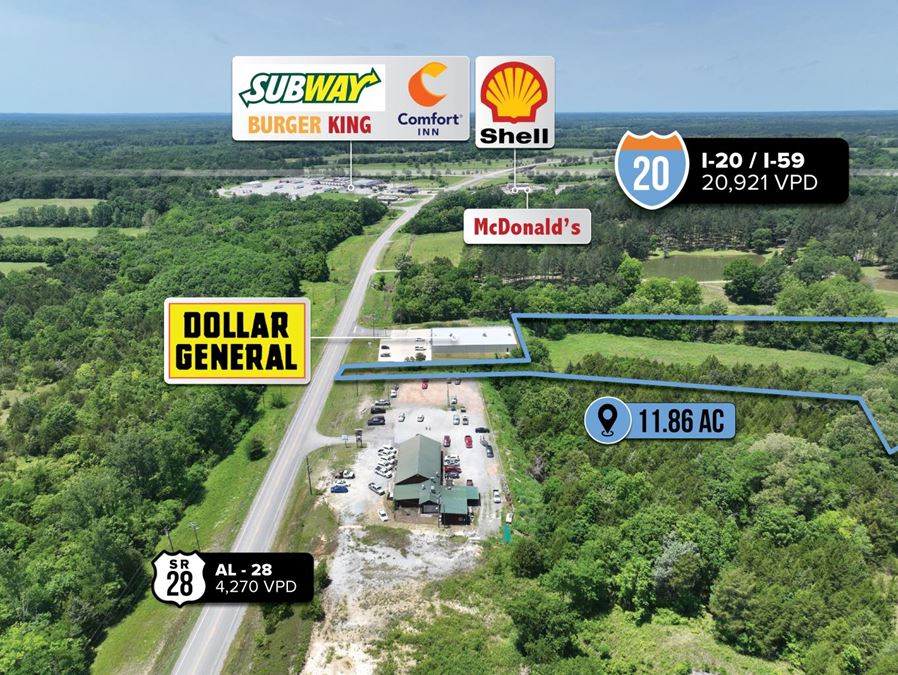 $1 Auction – 11.86 Acre Parcel | Dollar General Adjacent | Livingston, AL