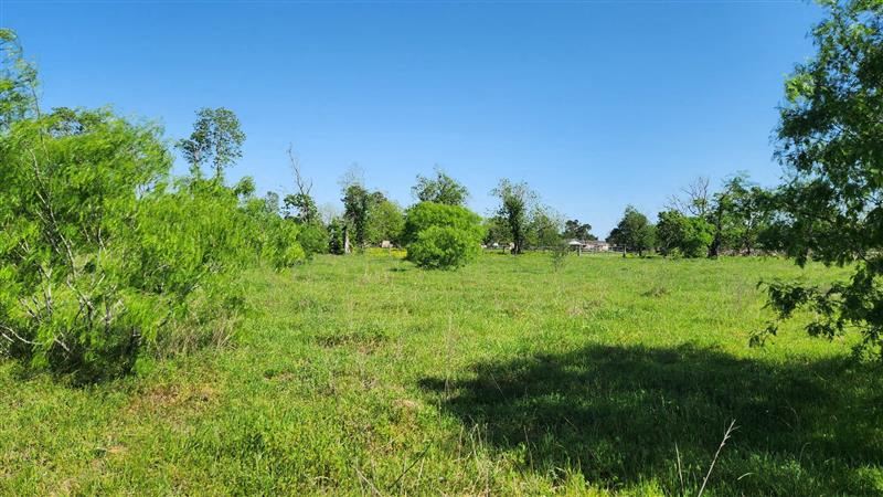 Four Adjoining Lots in Pattison