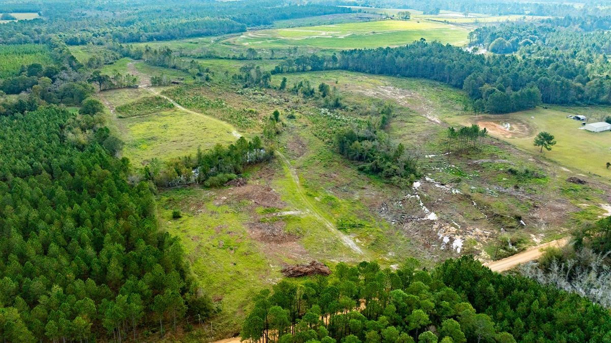 Wagon Wheel Farm