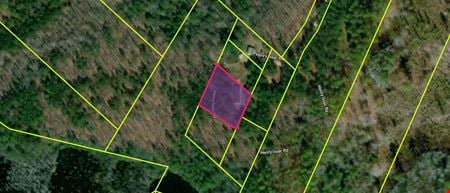 VacantLand space for Sale at 294 Henry Isaac Road in Patrick