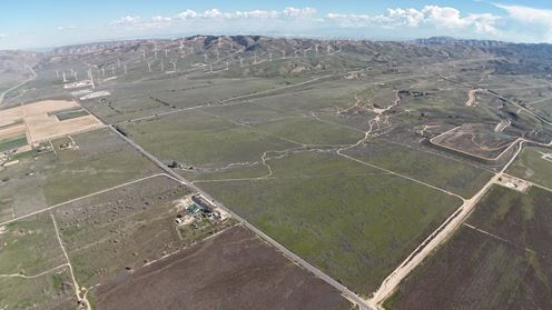 Tehachapi Willow Springs
