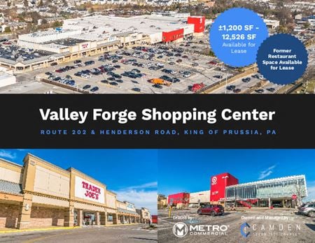 Retail space for Rent at 224 West Dekalb Pike in King of Prussia