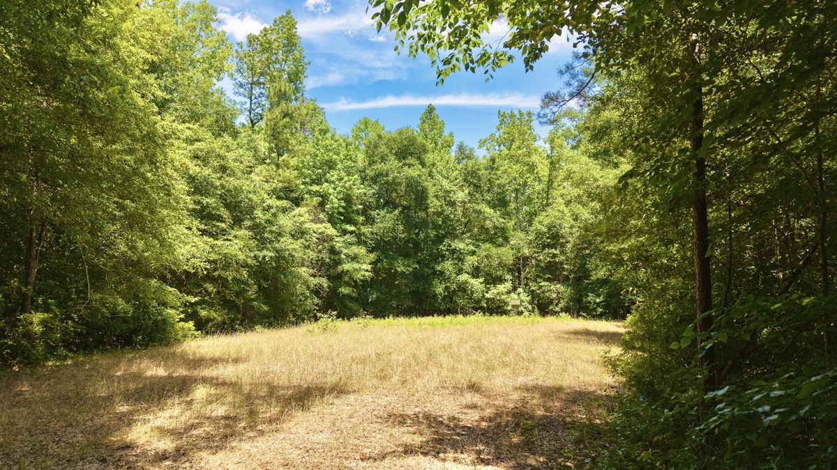 Flat creek Ridge