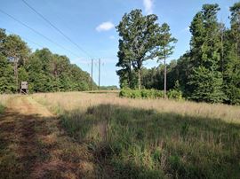 Brady Road Hunting Tract