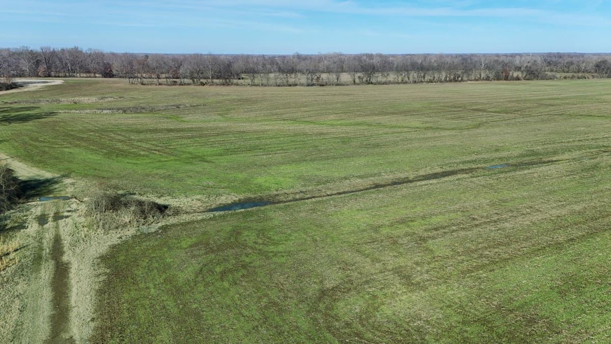 Bolton Farms