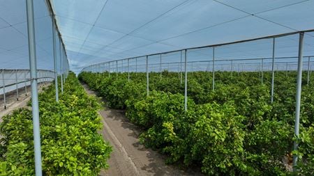 VacantLand space for Sale at 0 Cox Rd in Bartow