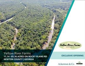 Tract 5 - 15.32 Acres - Yellow River Farms