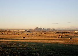 140 ACRES 