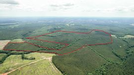 +/- 323 Acre Wooded Tract - Saluda County SC