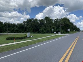 15.16 Acres - Raw Land - Dade City