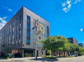 Dizzy Mule at Millwork Commons