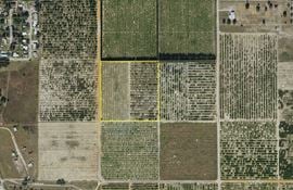 Lake Bella Road Transitional Land