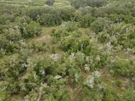 Plant City Oaks Hunting Tract