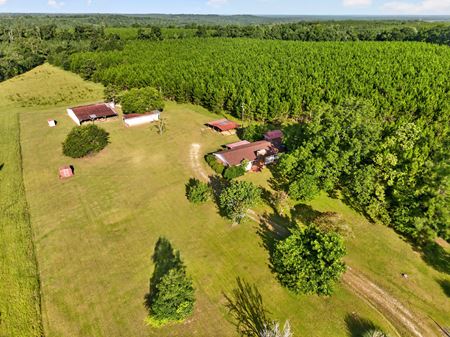 VacantLand space for Sale at 5612 Us Highway 82 W in Cuthbert
