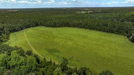 VacantLand space for Sale at Wallace Parker Dr in Claxton