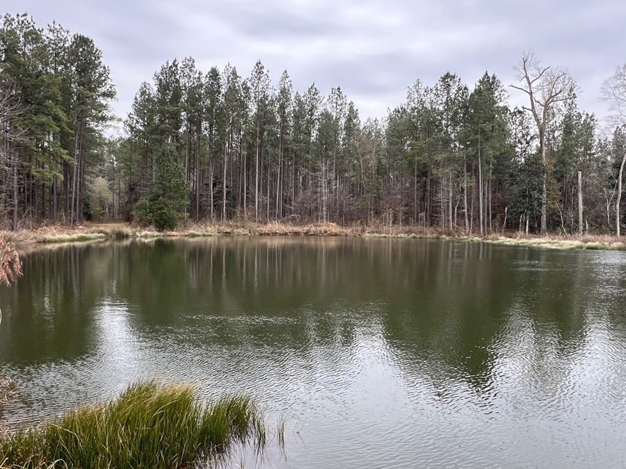 89 Acres in Early County, GA : Riverfront Property with Cabin and Outstanding Hunting Land