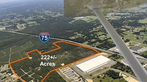 222+/- Industrial Acres I-75 Ocala