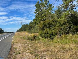 34.39 Acres with PBD Future Land Use – Development Opportunity in Santa Rosa County, FL