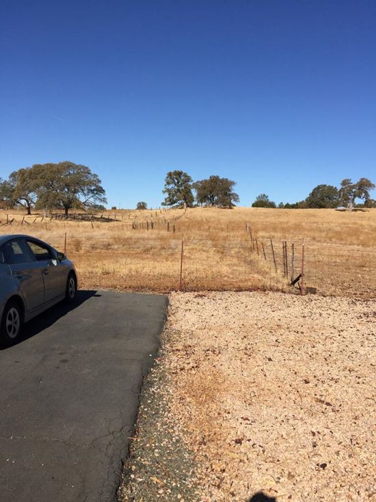0 Buckskin, Saddleback Development