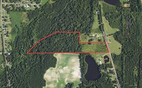 28+/- Recreation/Residential Land in Houston County, AL